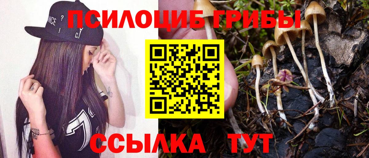Галлюциногенные грибы ЛСД  Вход с VPN  как найти   Бийск 