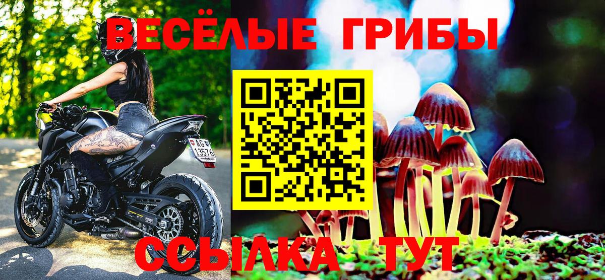 Галлюциногенные грибы GOLDEN TEACHER Бийск